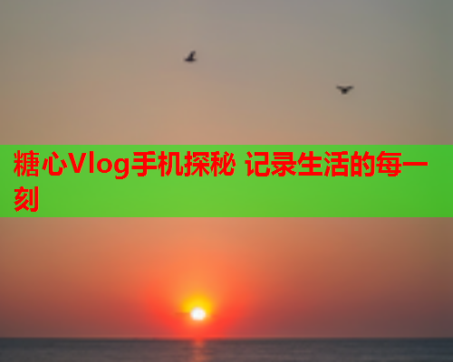 糖心Vlog手机探秘 记录生活的每一刻  第1张
