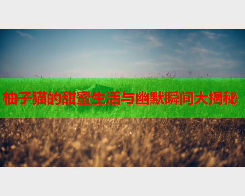 柚子猫的甜蜜生活与幽默瞬间大揭秘  第2张