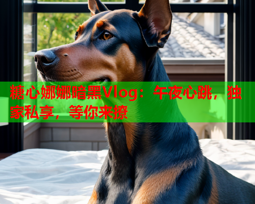 糖心娜娜暗黑Vlog：午夜心跳，独家私享，等你来撩